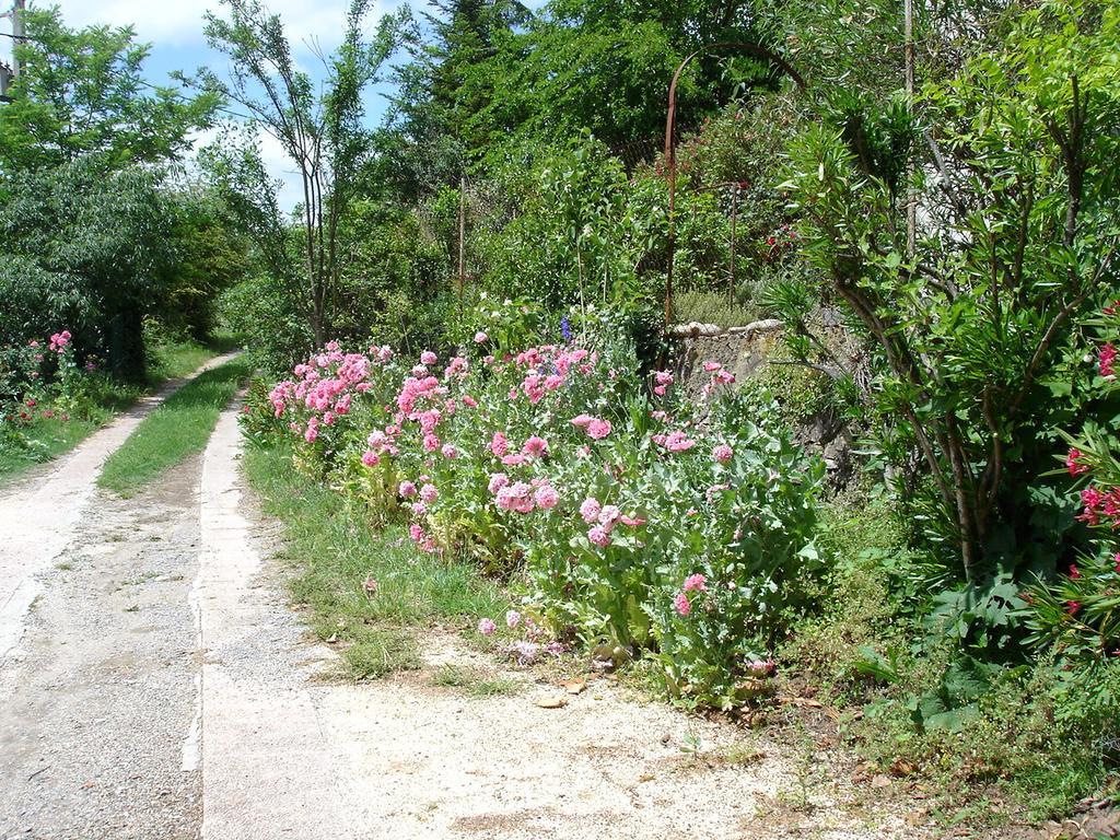 La Colline Bleue Panzió Banne Kültér fotó